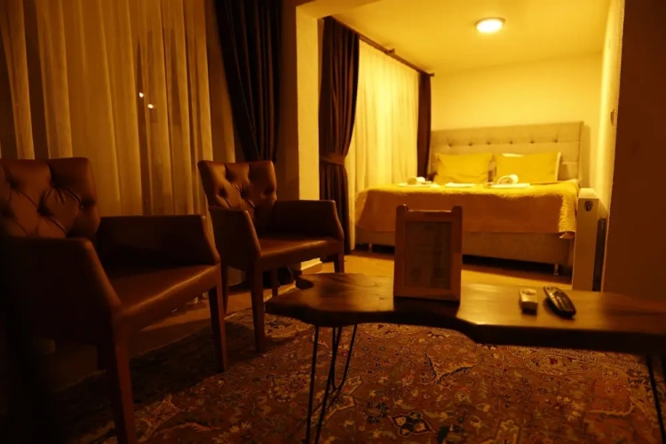 Standard Double room with balcony and with garden view