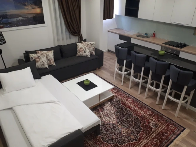 2 Bedrooms Family Apartment
