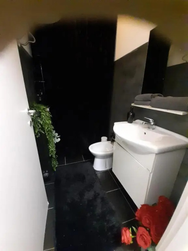 La petite maison