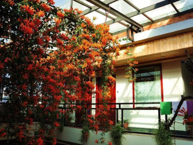 Bingdao Huayue Inn