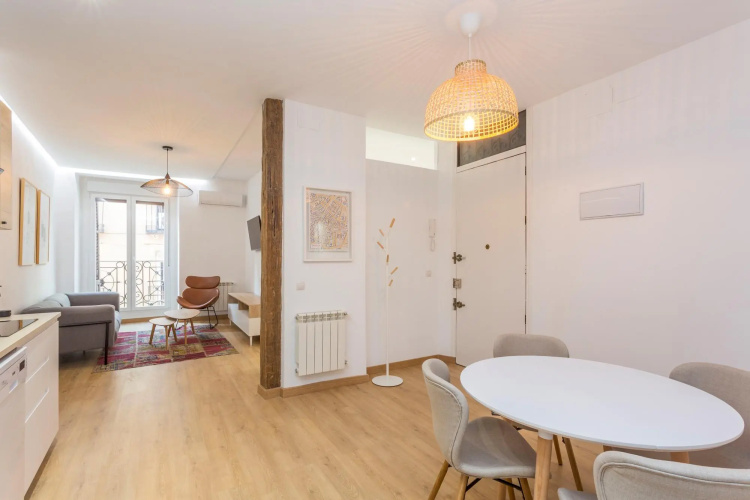 Luxurious 2BR/2BA in Chueca