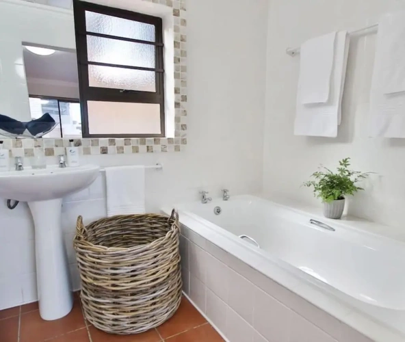 Luxury Apartment