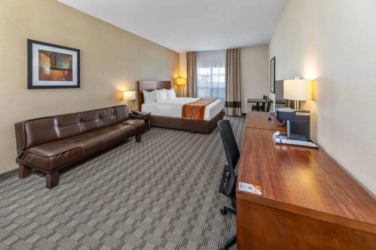 Standard Double room