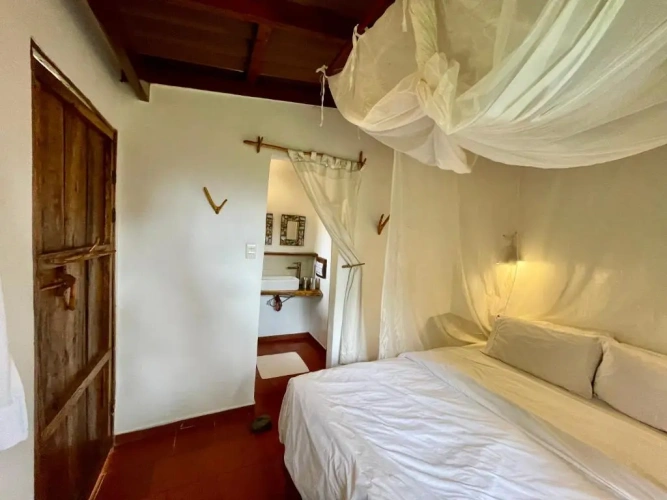 Standard Double room with garden view