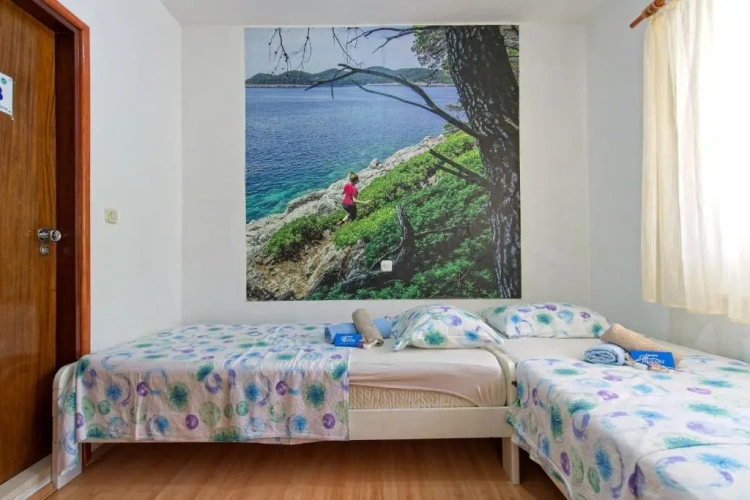 Economy Double room with balcony and with view