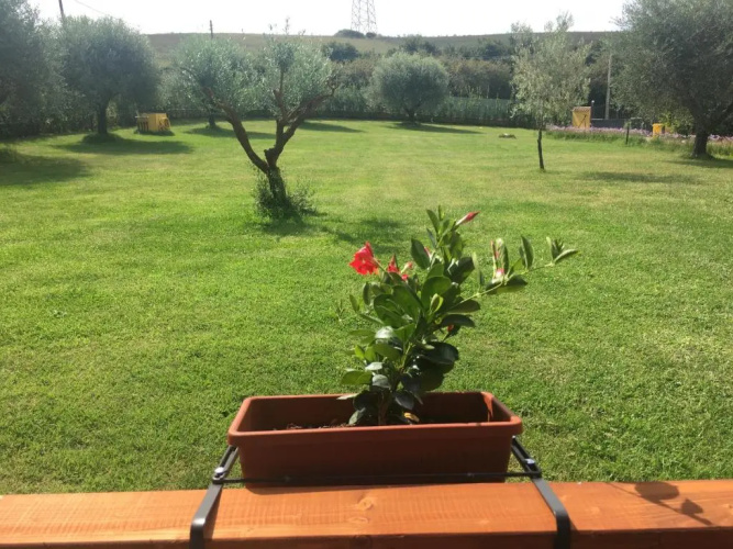 La Rosa del lago