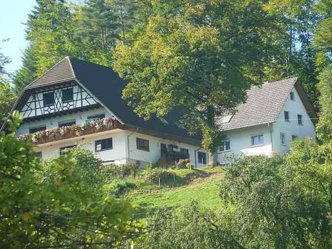Grüner Ausblick