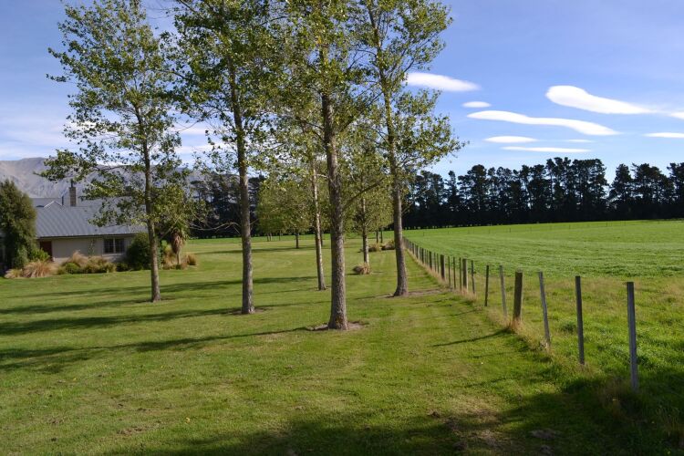 Quickenberry Guesthouse Over view