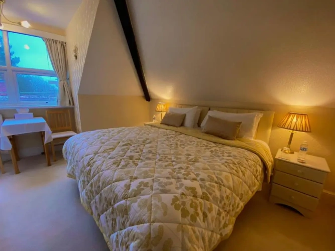 Standard Double room with view