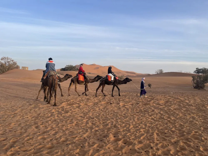 Desert Sparrow Luxury Camp