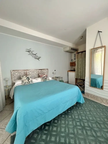 Luxury Double room with canal view