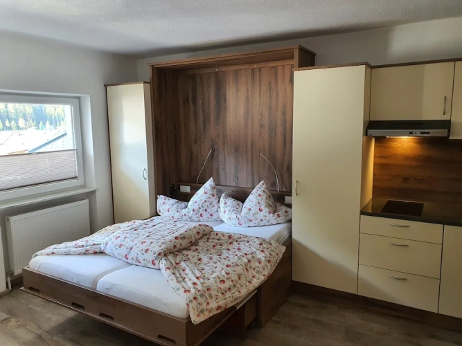 Economy Apartment with balcony