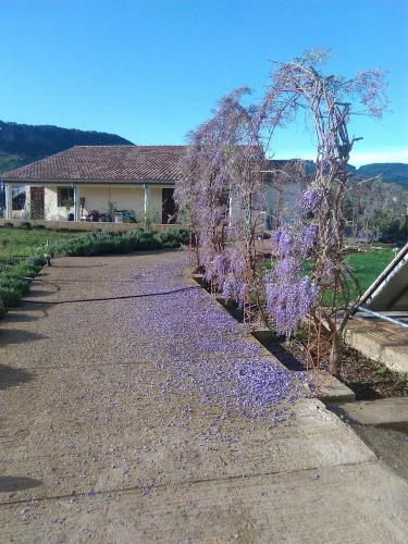 Les Jardins D'Azrou