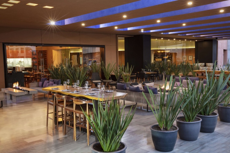 Hyatt Centric Campestre Leon photo 36