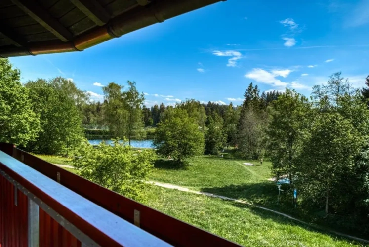 Standard Double room with balcony and with view