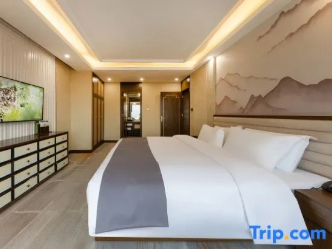 Executive Double Suite