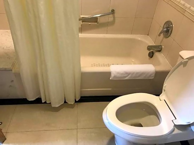 Executive Double room with view