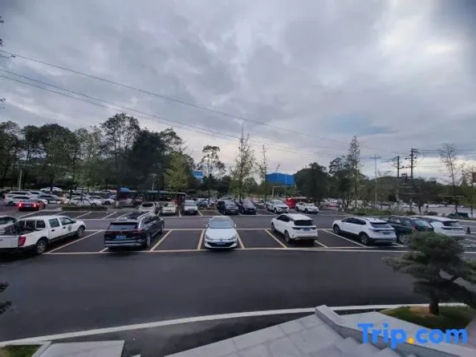 Outside