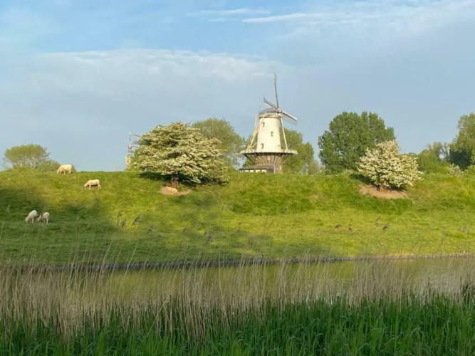 Kievitenlaan 1 'Nescio'
