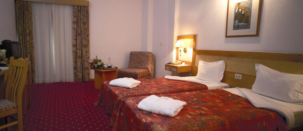 Hotel Rainha D. Amelia, Arts & Leisure