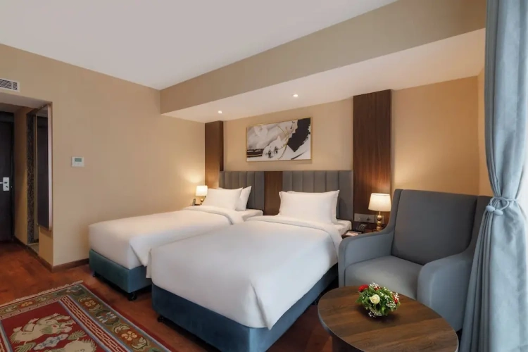 Deluxe Twin room