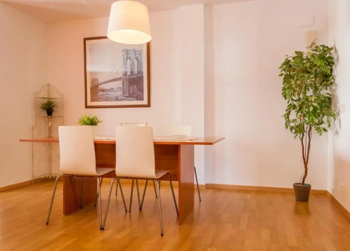 1 Bedroom Apartment