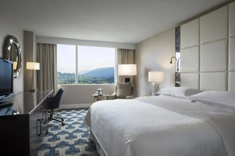 Standard Double room with view