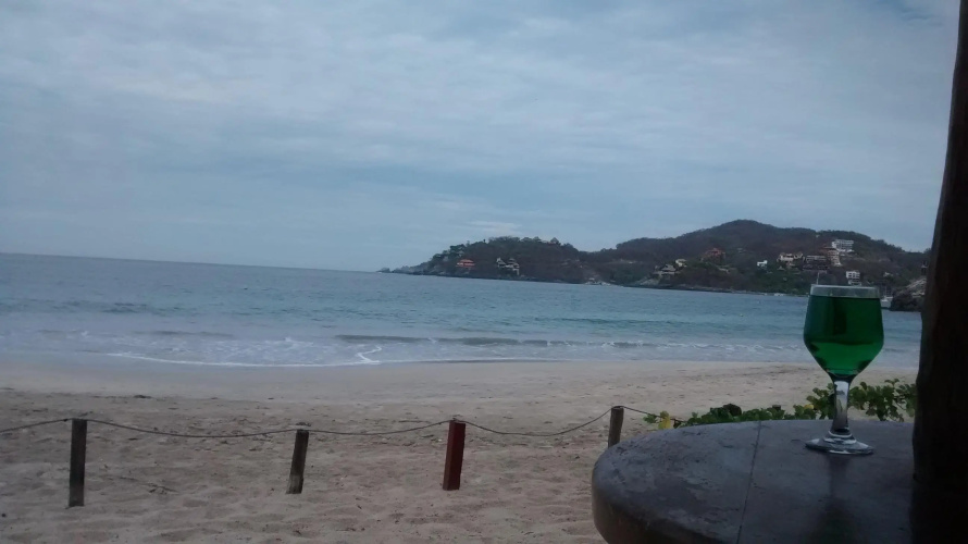 Catalina Beach Resort photo 23