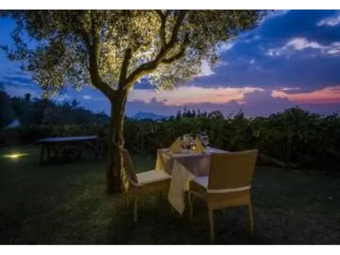 Tenuta Montecorbo