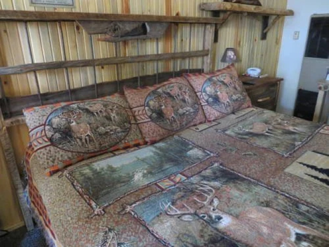 Budget Lodge Salida