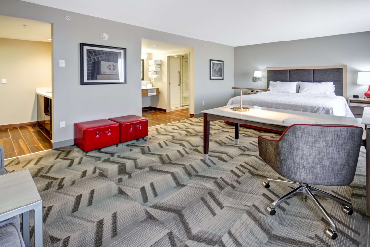 Hampton Inn & Suites by Hilton Medicine Hat photo 8