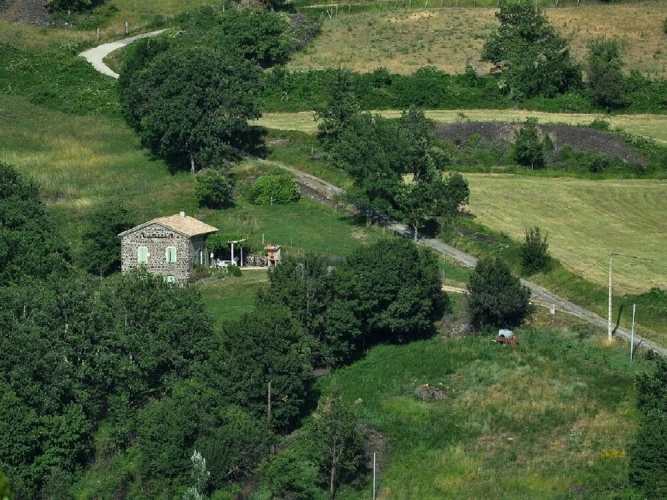 Cottage