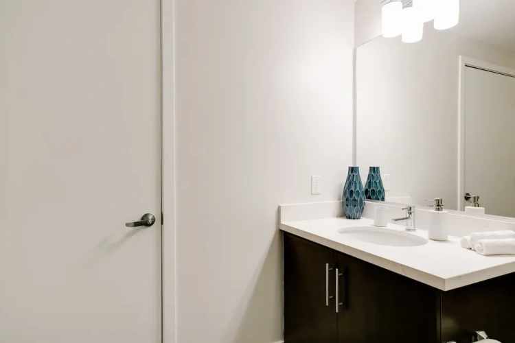 1 Bedroom Luxury Apartment