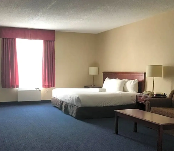 Business Suite