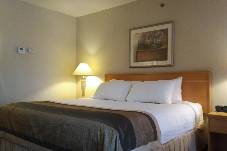 Flamingo Hotel