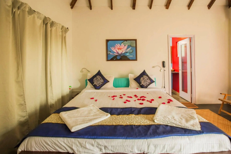 Aquatica Resort & Spa