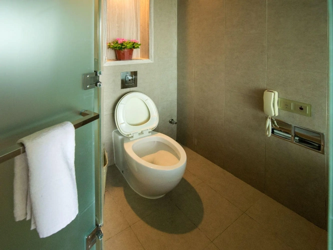 Deluxe room with sea view