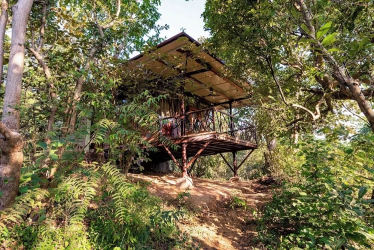 Deluxe Cottage