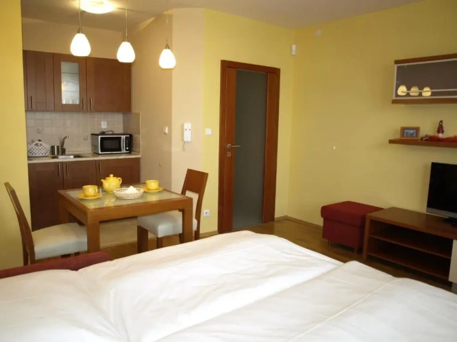 1 Bedroom Apartment
