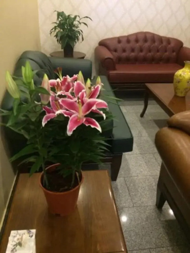Unver Hotel