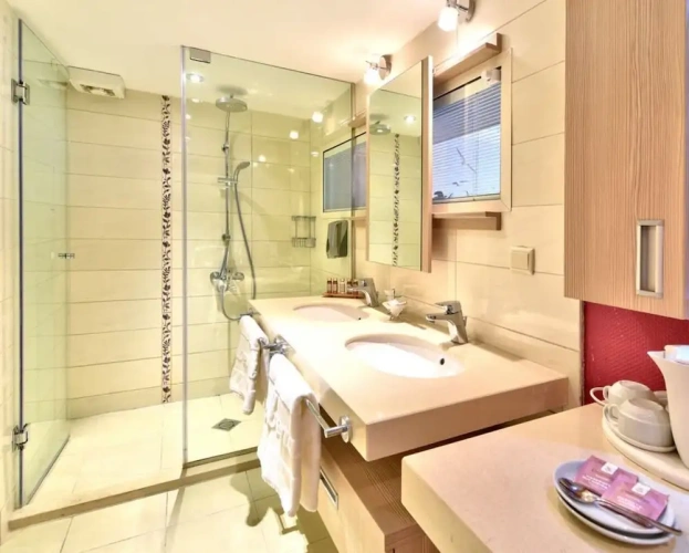 Standard Double room with park view