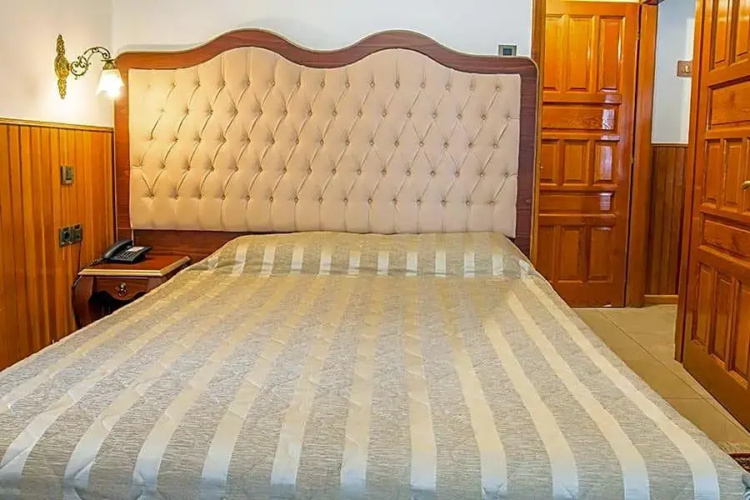 Apollon Metsovo