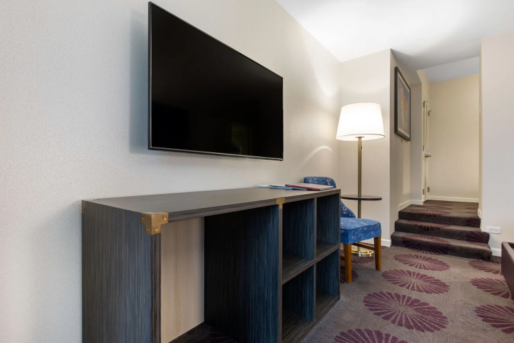 The Chicago Hotel Collection: Magnificent Mile photo 20