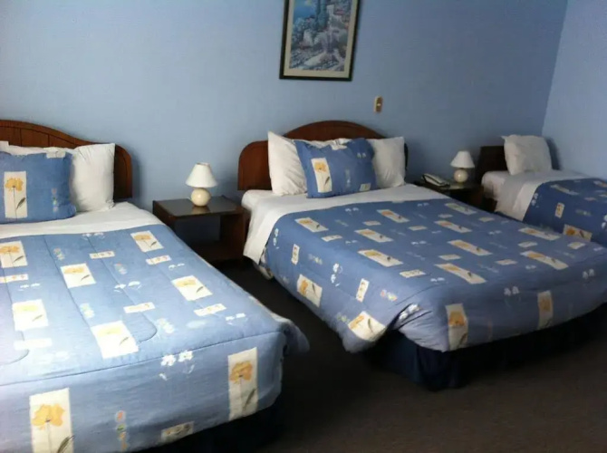 Hotel Barros Arana