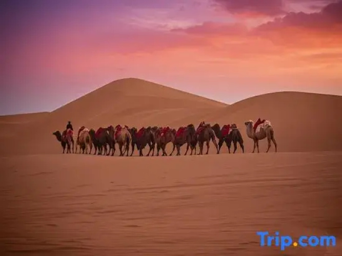 Shousha Desert View Hotel