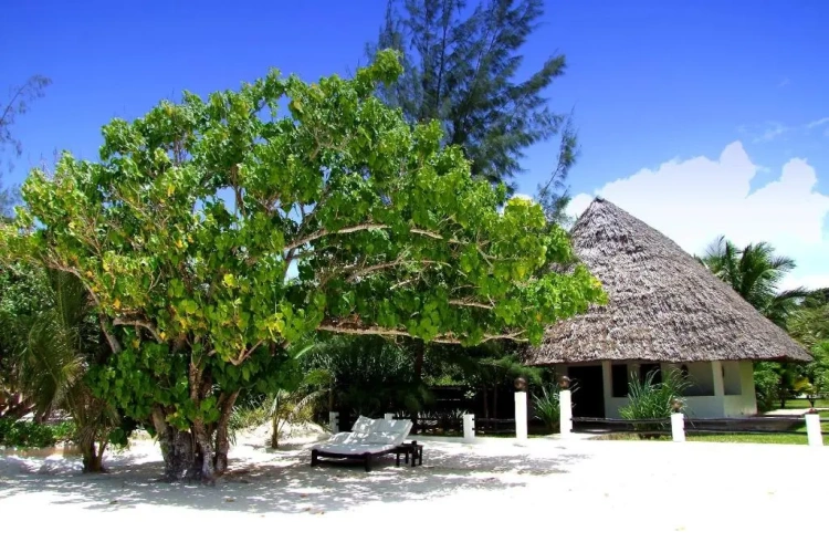Bungalow