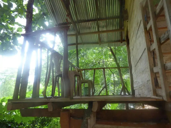 Angry Birds Tree house