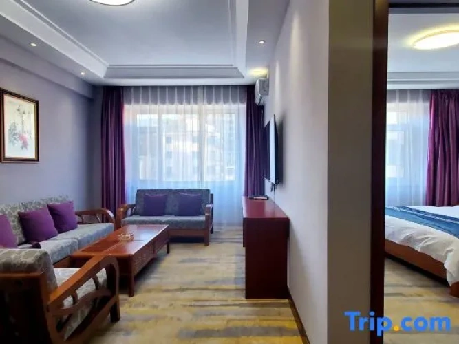 Deluxe Suite with city view