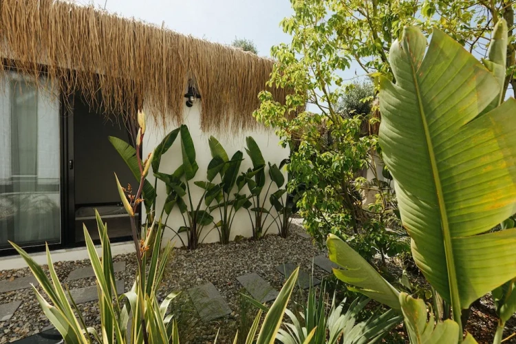 Premier Double room