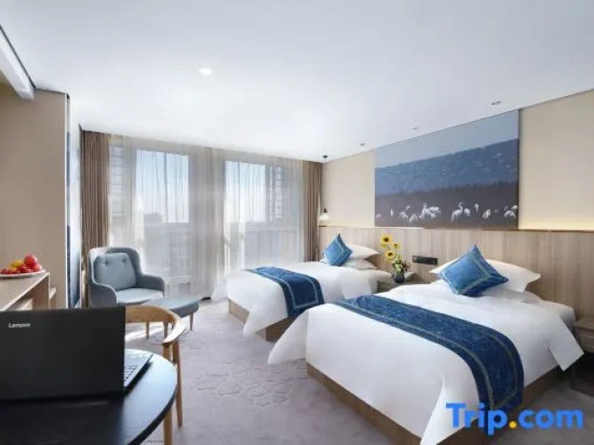 Deluxe Twin Family room